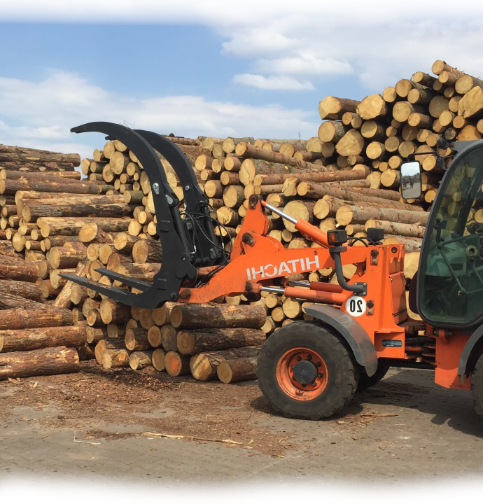 Forestry and wood industry